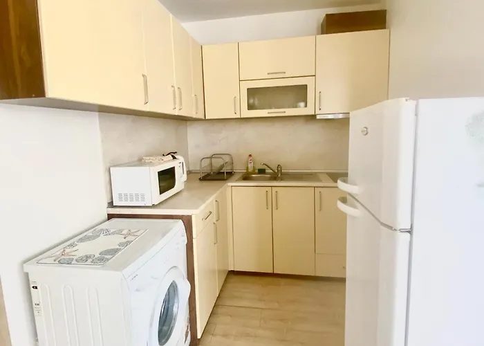 公寓式酒店 In Sunny Island Complex 切尔诺莫雷茨