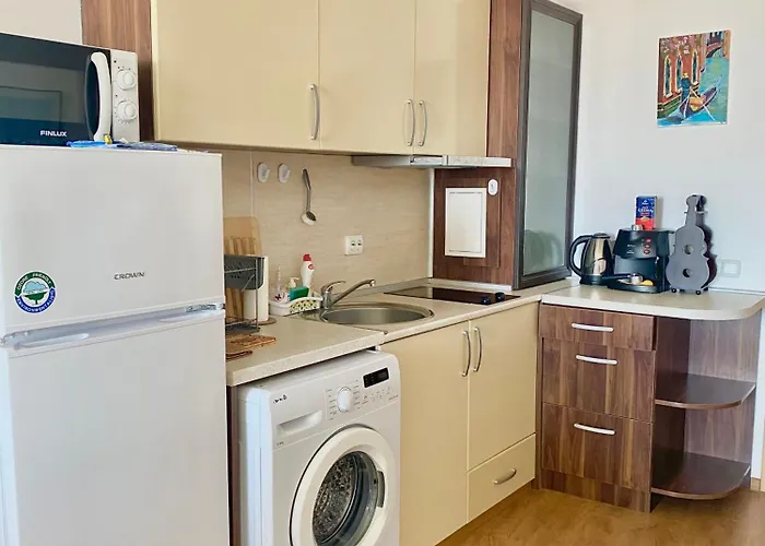 公寓式酒店 In Sunny Island Complex 切尔诺莫雷茨